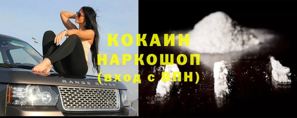 jwh Гусь-Хрустальный