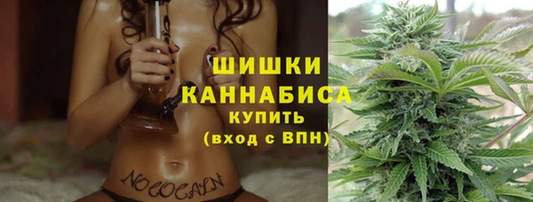 соль ск Горно-Алтайск