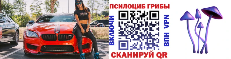 МЕГА tor  Жуковка  Галлюциногенные грибы мицелий 