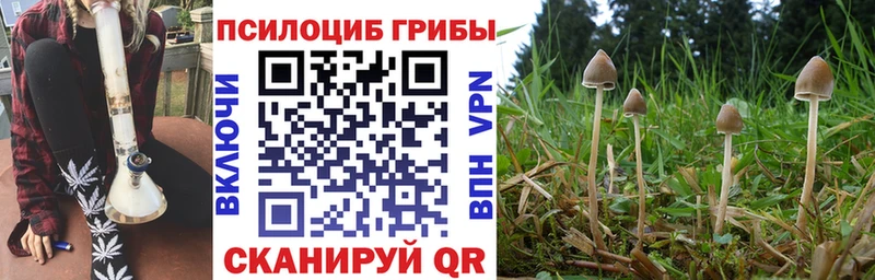 Псилоцибиновые грибы Psilocybine cubensis Жуковка